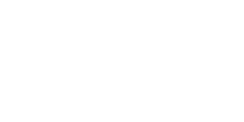 feature-plastering-logo